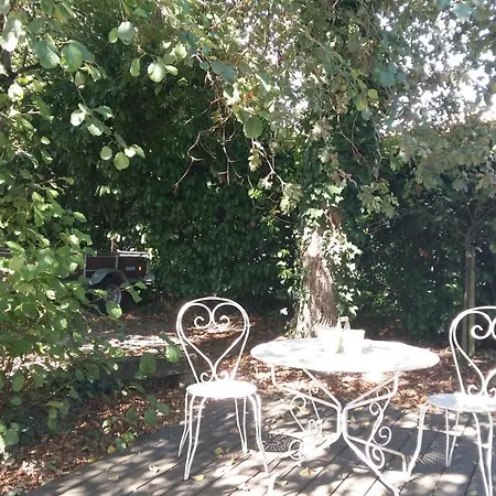 D'hotes Du Parc D'espagne 佩萨克