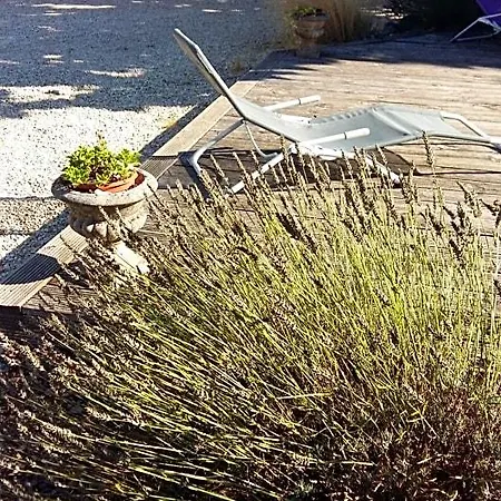 Frühstückspension D'hotes Du Parc D'espagne Pessac